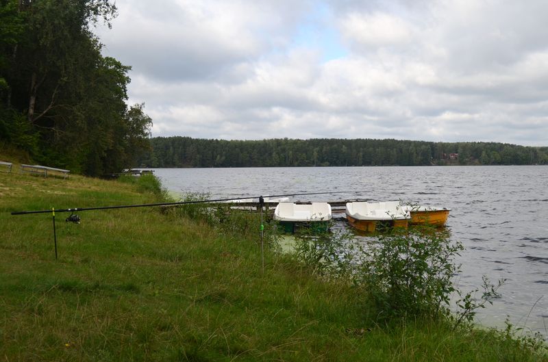 DSC_1036.JPG